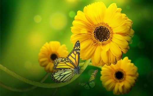 1228687 (a): :2560x1600